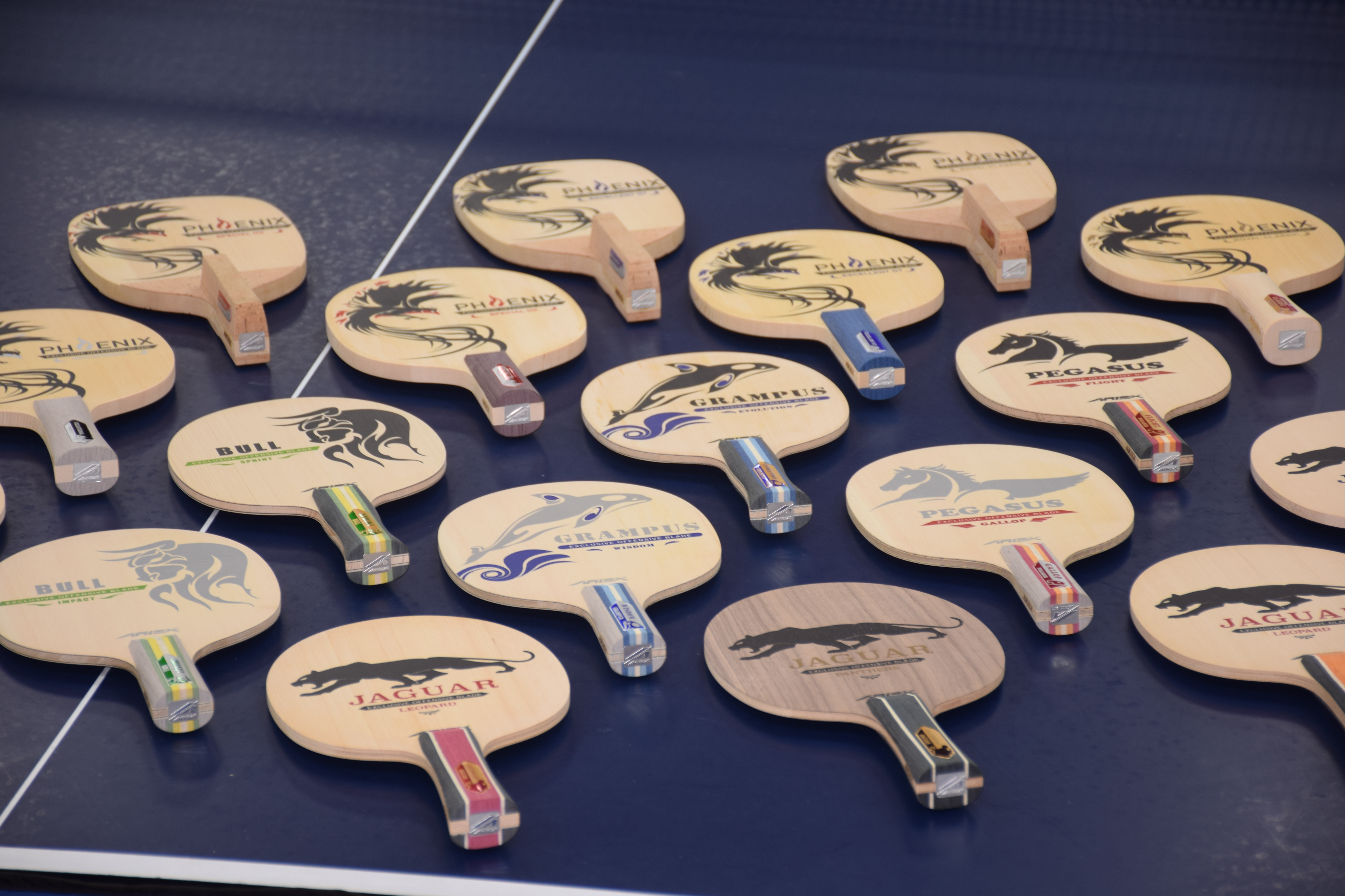 ariex-sport.com